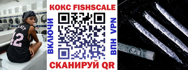 Купить закладки  Красный Кут  КОКАИН FishScale 