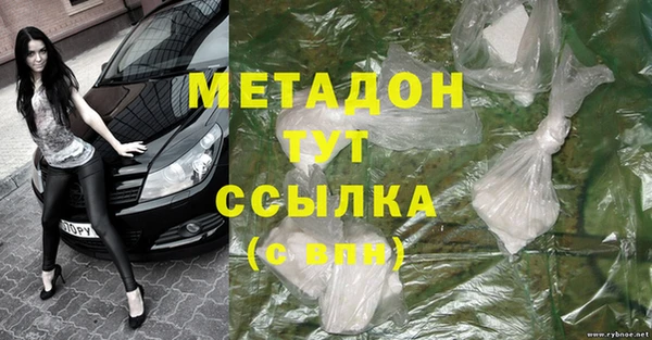 гидра Елизово
