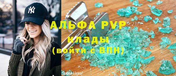 гидра Елизово