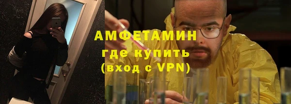 гидра Елизово