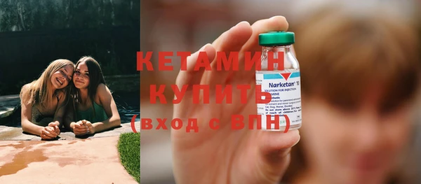 гидра Елизово