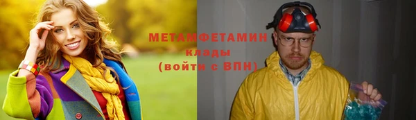 гидра Елизово
