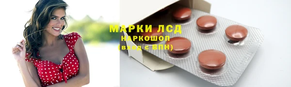 гидра Елизово
