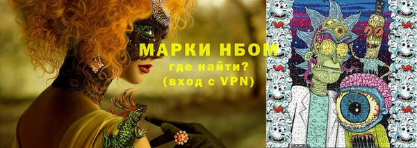 гидра Елизово