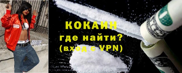 гидра Елизово