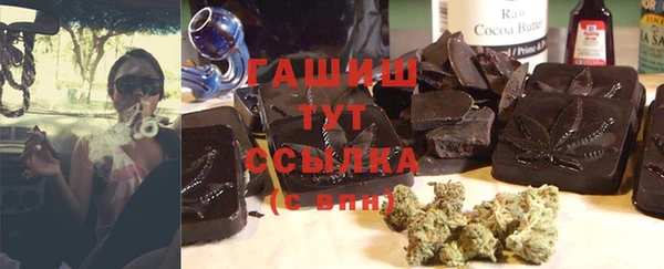 гидра Елизово