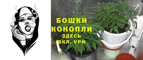 не бодяженный Елабуга