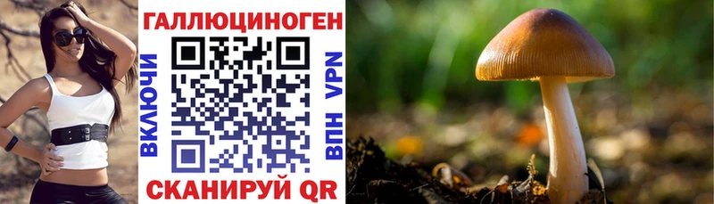 Купить закладки  Красный Кут  Галлюциногенные грибы прущие грибы 