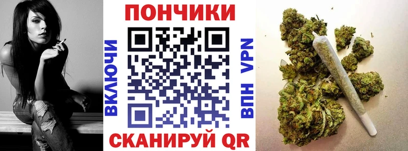 Купить где  Красный Кут  Бошки марихуана OG Kush 
